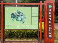 -阳台山森林公园