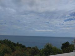 -广东惠东海龟国家级自然保护区