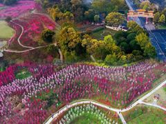 -常德桃花源景区