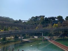 -福道