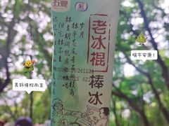 -惠山国家森林公园