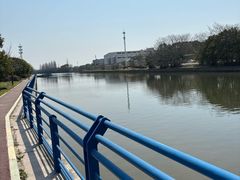 -高东镇樱花园