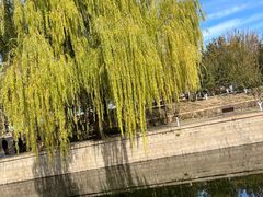 -元大都城垣遗址公园