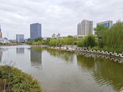 -雁滩公园