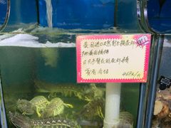 水产区-蚝专家(北滘店)