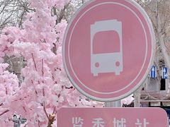 -金茂览秀城
