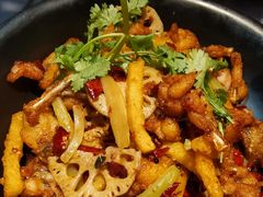 -红辣椒·川菜·火锅(张杨路店)