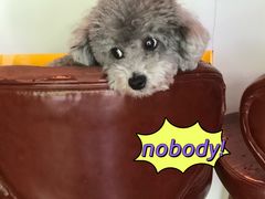 -默迹咖啡馆