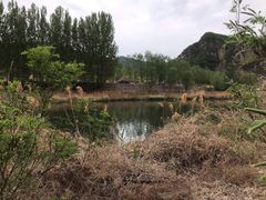 -白河湾生态旅游一条川