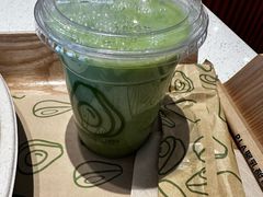 -油梨树 AVOCADO TREE(亮马桥店)