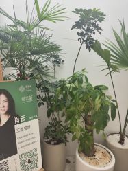 -妈妈时光机医疗产后修复(南山茂业百货店)