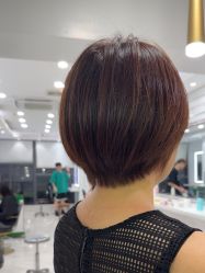 -镁连社·美联社