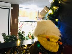 -百好乐宠物友好餐厅(朝外大街店)