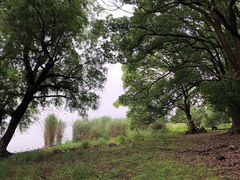 -上海市保健医疗中心