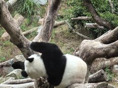 -宁波野生动物园