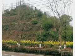 -恩阳古镇