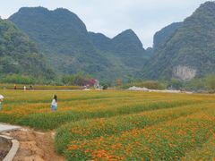 -靖西鹅泉风景区