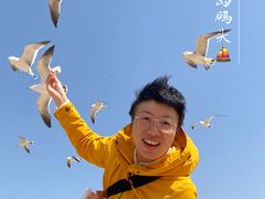 -海驴岛(荣成市)