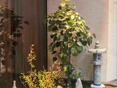 -王府茶楼茶宴·创意菜(朝阳公园店)