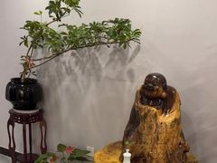 -金蚁康•经络调理•肩颈按摩(万达金街店)