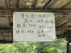 -姥家大锅台水库渔家