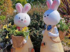 -上海共青森林公园