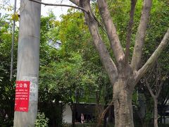 -温记府廟豆汤饭·始于1955年(海椒店)