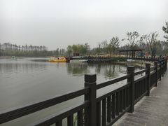 -上海长兴岛郊野公园