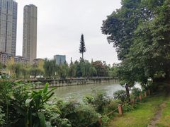 -成都市活水公园
