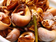 双拼海螺-阿马蛋汤·宁波小海鲜(总店)