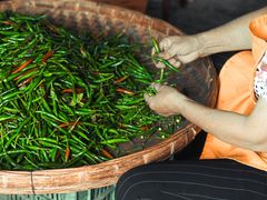 -好记哑巴兔(黄许镇店)
