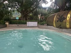 -碧水湾温泉