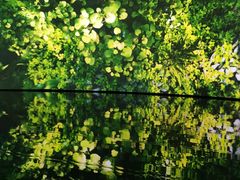 -中国湿地博物馆