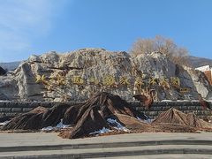 -北京西山国家森林公园