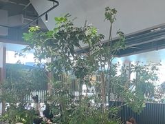-gaga(深圳福田星河COCO Park店)