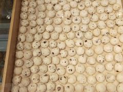 -虎头局·渣打饼行(五一新干线店)