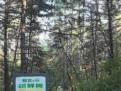 -帽儿山国家森林公园