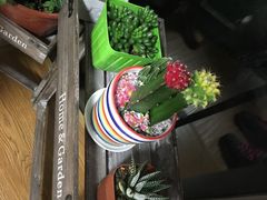 -Dark Horse·黑马蛋糕·低脂·低糖淡奶(金匙望湖大厦店)