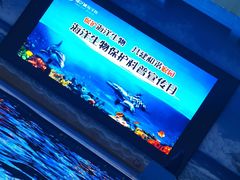 -锦艺城海洋馆