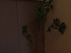 -小仙女采耳·按摩·SPA(深圳旗舰店)
