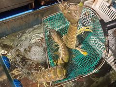 -辉记炭烧海鲜大排档·老字号(福田店)