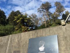 -怀托摩萤火虫洞