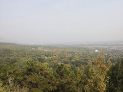 -北京鹫峰国家森林公园