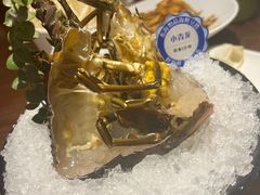 -东海怡品海鲜豆捞(星街坊店)