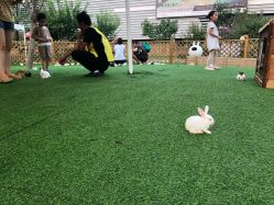 -萌宠亲子动物乐园(槐房万达店)