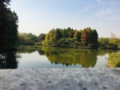 -梁鸿国家湿地公园