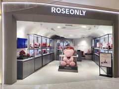-ROSEONLY诺誓(广州K11店)
