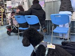 -北京赛佳动物医院