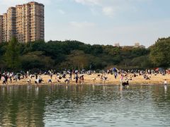 -青枫公园