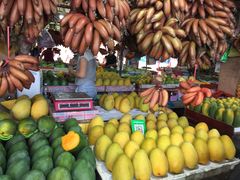 -南沙十九涌渔人码头-南门